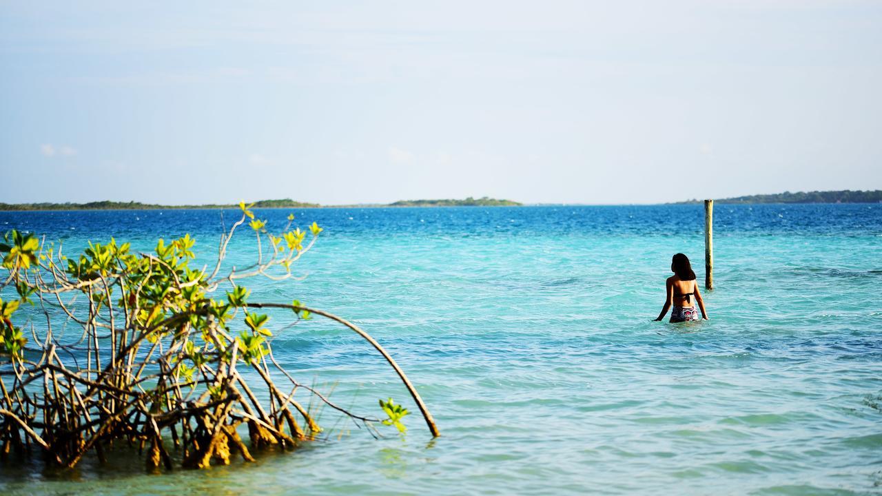 Hotel Wayak Bacalar - Todo Incluido Eksteriør billede